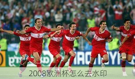 2008欧洲杯怎么去水印