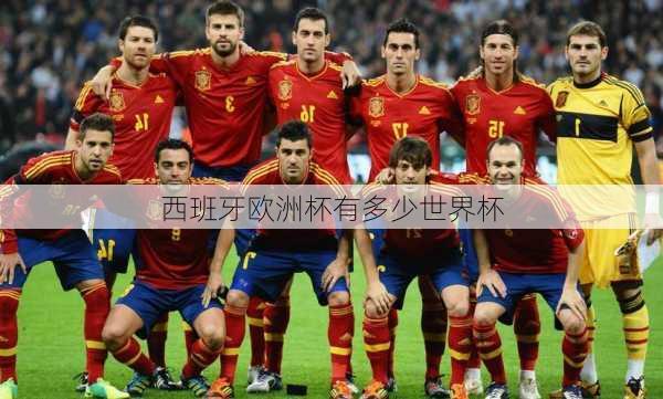 西班牙欧洲杯有多少世界杯