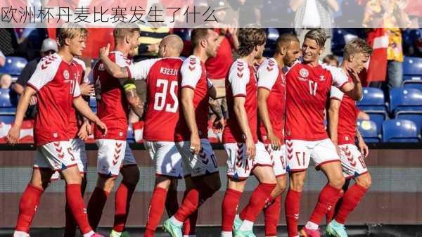 欧洲杯丹麦比赛发生了什么