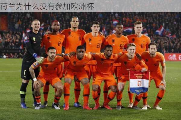 荷兰为什么没有参加欧洲杯