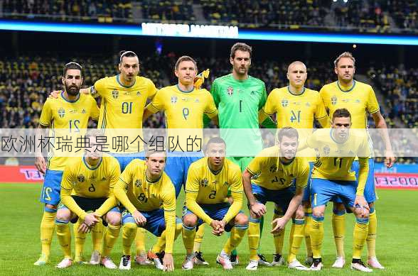 欧洲杯瑞典是哪个组队的
