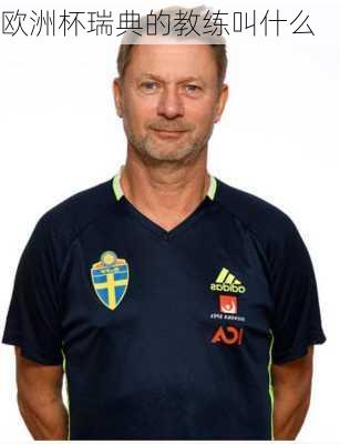欧洲杯瑞典的教练叫什么