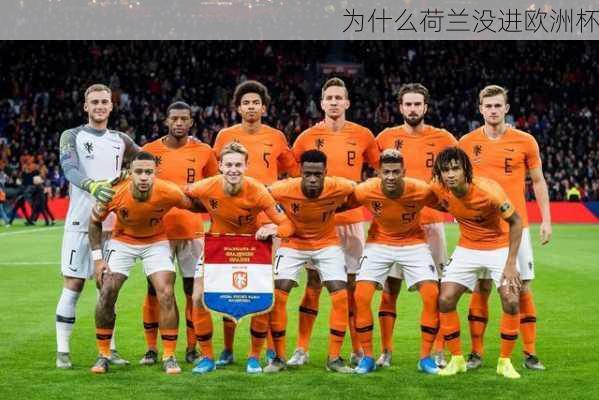 为什么荷兰没进欧洲杯