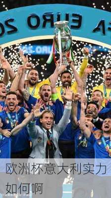 欧洲杯意大利实力如何啊