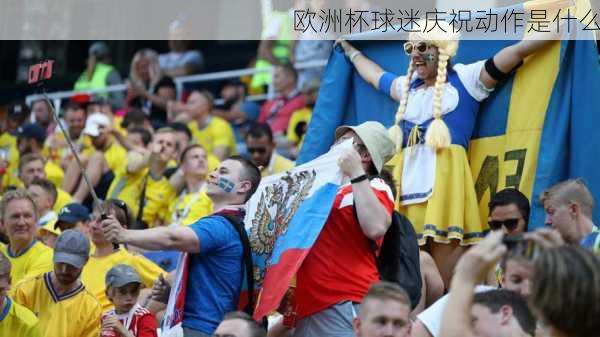 欧洲杯球迷庆祝动作是什么