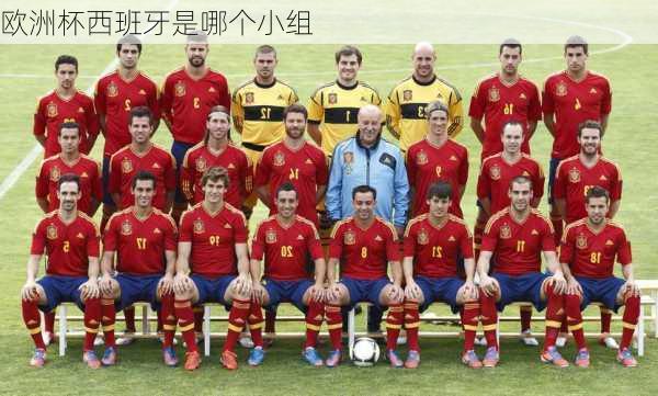 欧洲杯西班牙是哪个小组