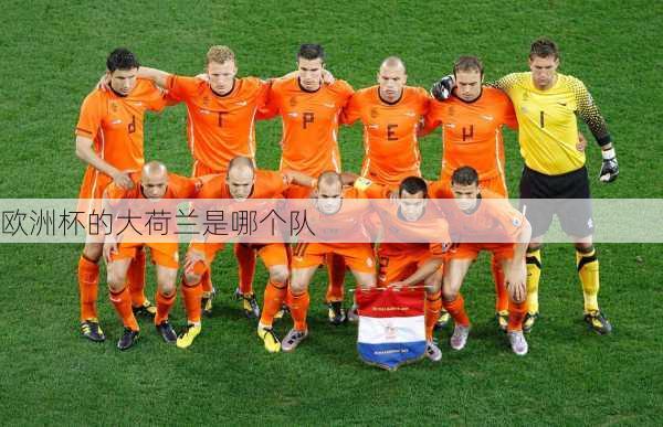 欧洲杯的大荷兰是哪个队