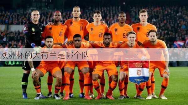 欧洲杯的大荷兰是哪个队