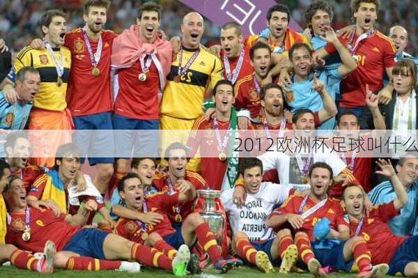 2012欧洲杯足球叫什么
