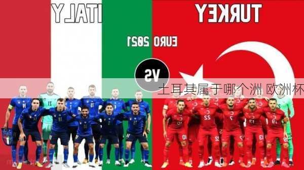 土耳其属于哪个洲 欧洲杯