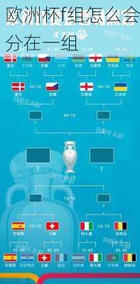 欧洲杯f组怎么会分在一组