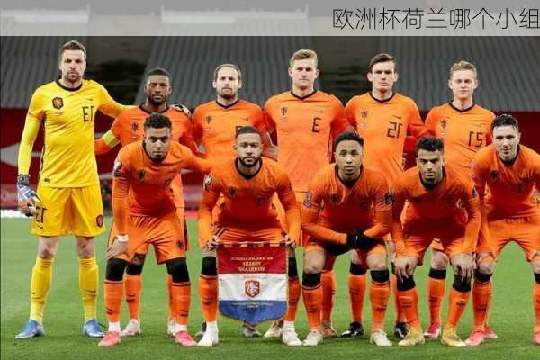 欧洲杯荷兰哪个小组