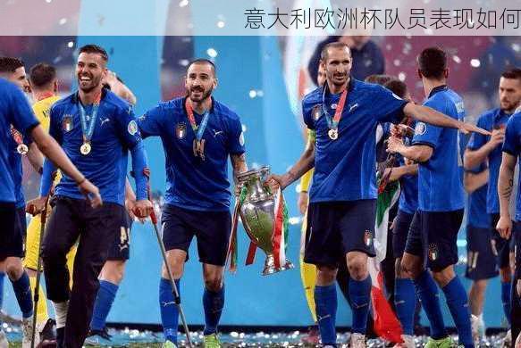 意大利欧洲杯队员表现如何