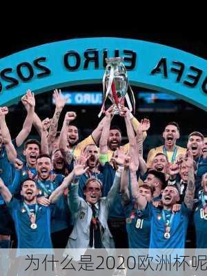 为什么是2020欧洲杯呢