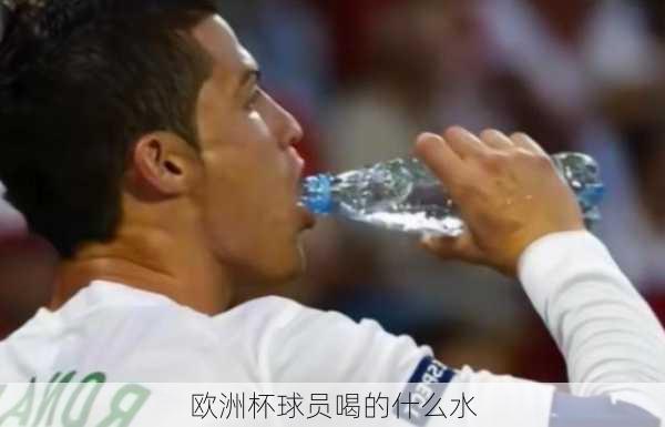 欧洲杯球员喝的什么水