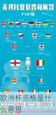 欧洲杯资格是什么意思