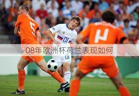 08年欧洲杯荷兰表现如何