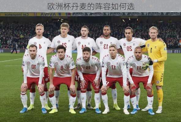 欧洲杯丹麦的阵容如何选