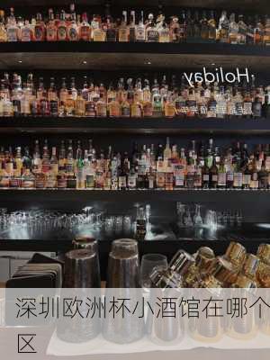 深圳欧洲杯小酒馆在哪个区