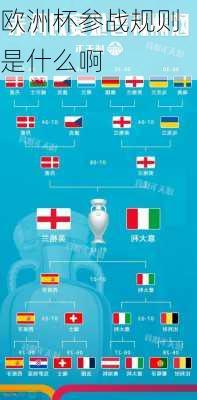 欧洲杯参战规则是什么啊
