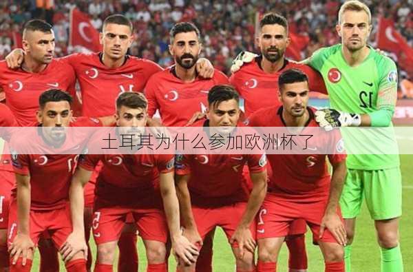 土耳其为什么参加欧洲杯了