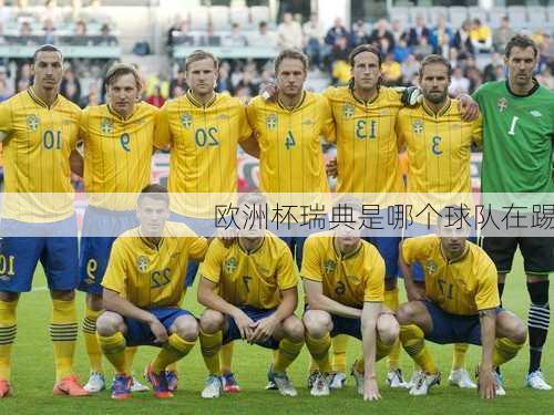 欧洲杯瑞典是哪个球队在踢