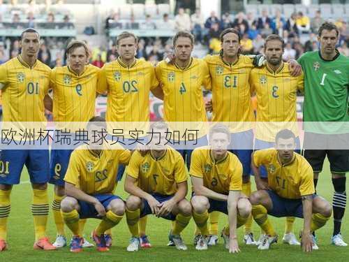 欧洲杯瑞典球员实力如何